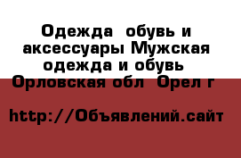 Одежда, обувь и аксессуары Мужская одежда и обувь. Орловская обл.,Орел г.